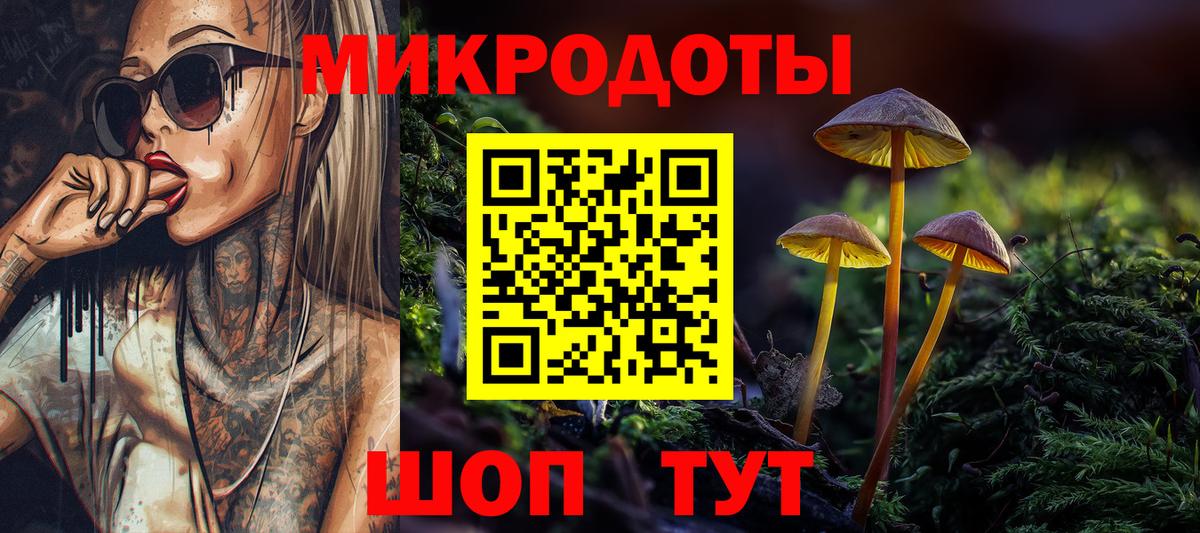 где купить наркотик  Вход с VPN  Галлюциногенные грибы GOLDEN TEACHER  Волжский  Псилоцибиновые грибы Psilocybine cubensis 