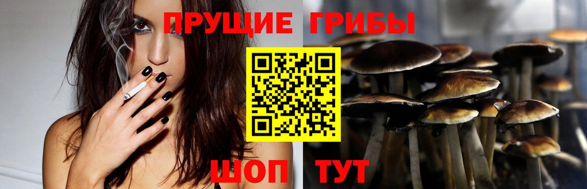 Галлюциногенные грибы Cubensis Волжский